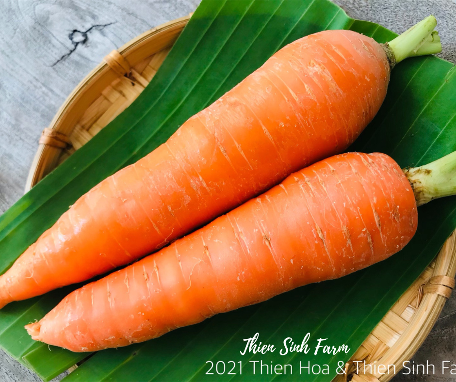 108 Tue-fam Carrot /Cà rốt /人参300g