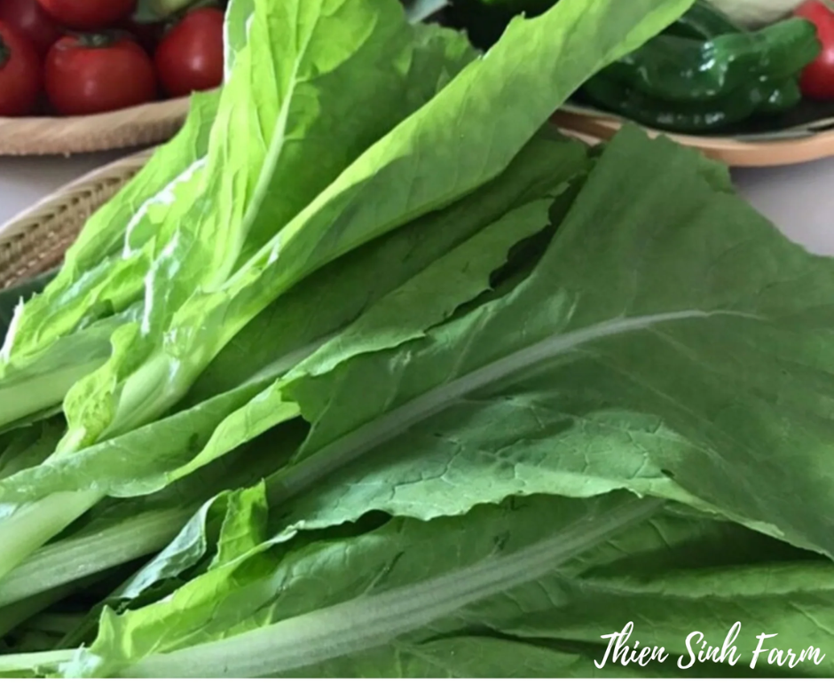 112 Thu-fam Mustard green/Cải canh/カラシナ300g