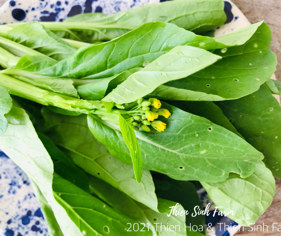117 Thu-fam Choy sum/Cải ngồng/菜心 350g