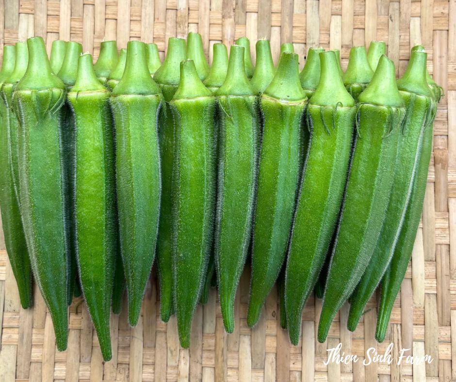 128 Thu-fam Okra/Đậu bắp/オクラ250g
