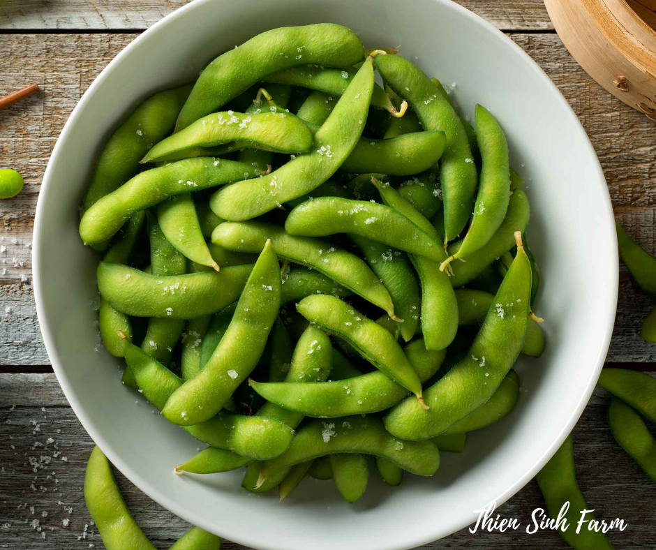 133 Thu-fam Edamame/Đậu tương/えだまめ100g