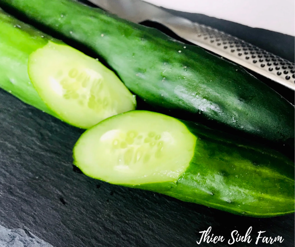 134 Thu-fam Cucumber JP/Dưa leo Nhật/きゅうり300g