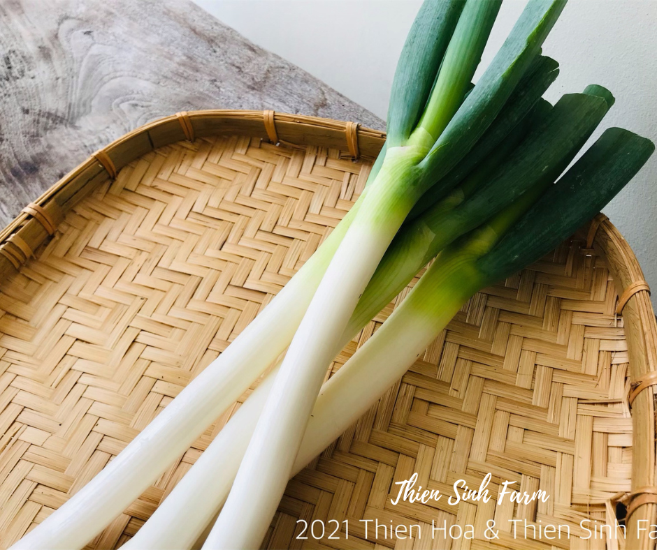 138 Thu-fam Leek/Hành paro/長ネギ250g