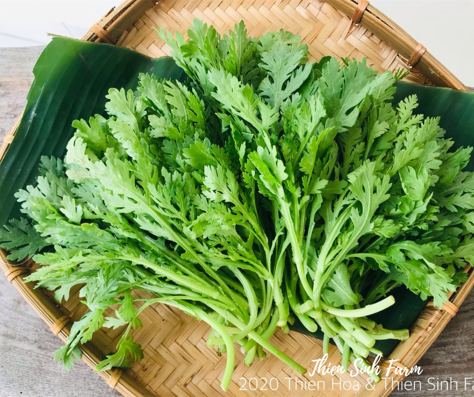 158 Fri-fam Shungiku/Tần ô/春菊 300g