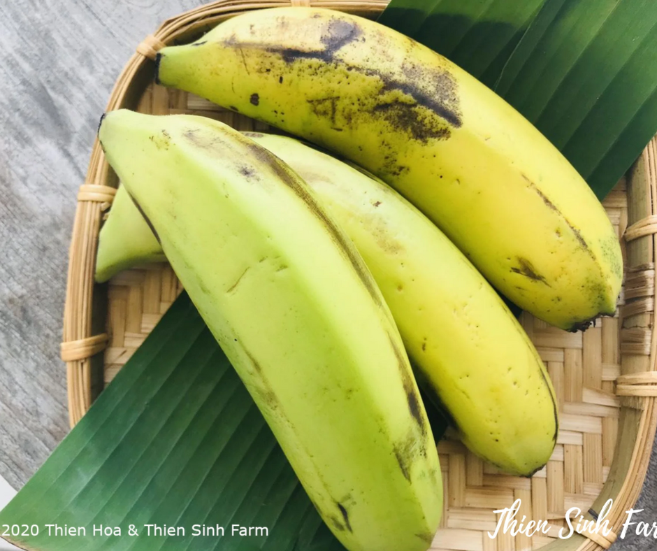 196 Thu-fam Laba Banana /Chuối Laba /Laba バナナ 500g