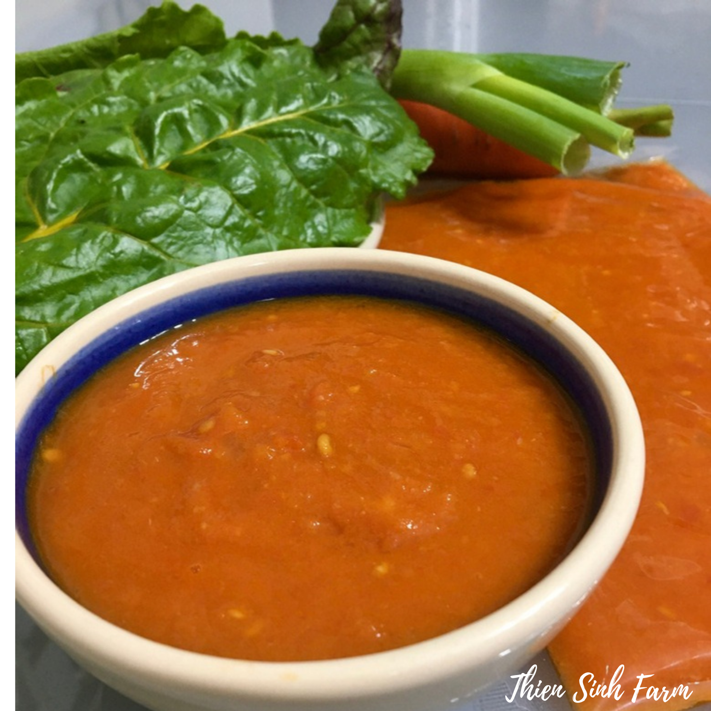569 All-fam TSF Tomato Sauce/Sốt cà chua/TSFトマトソース500ml