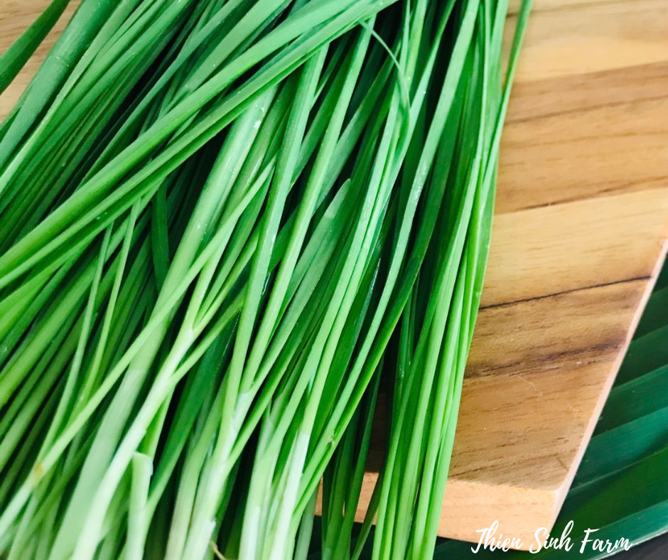141 Mon-fam Chinese chive/Hẹ/ニラ150g
