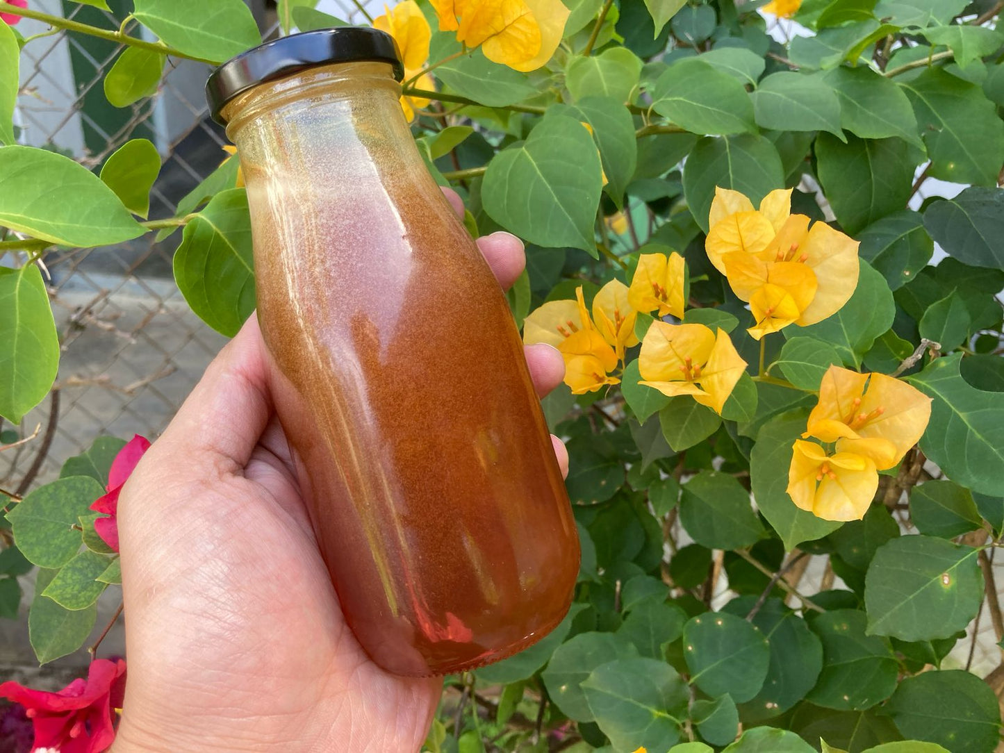 570 Thu-fam Honey/Mật ong/はちみつ330ml