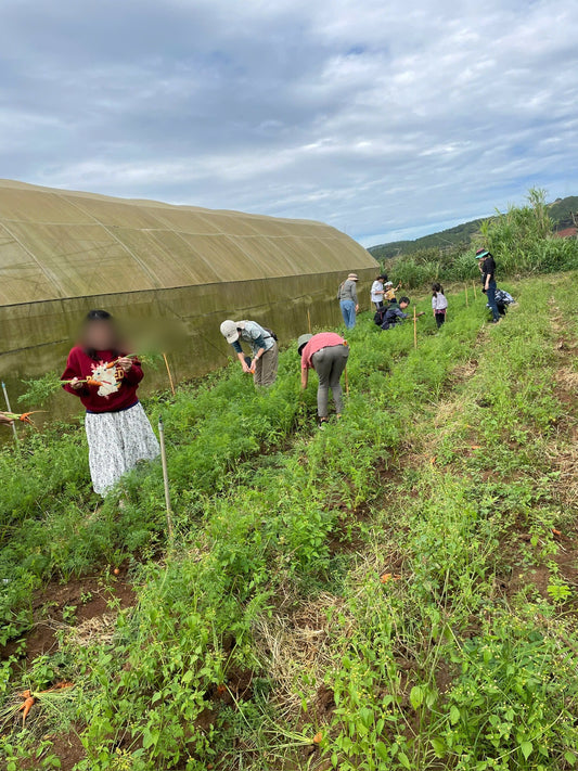 Thien Sinh Farm tour report