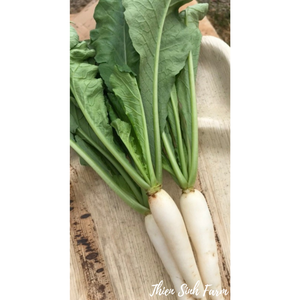 125 Wed-fam White radish+ leaves/Củ cải nhật trắng+ lá/大根 + 葉 350g