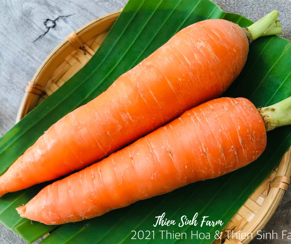 108 Fri-fam Carrot /Cà rốt /人参300g