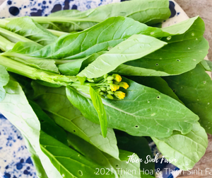 117 Mon-fam Choy sum/Cải ngồng/菜心 350g