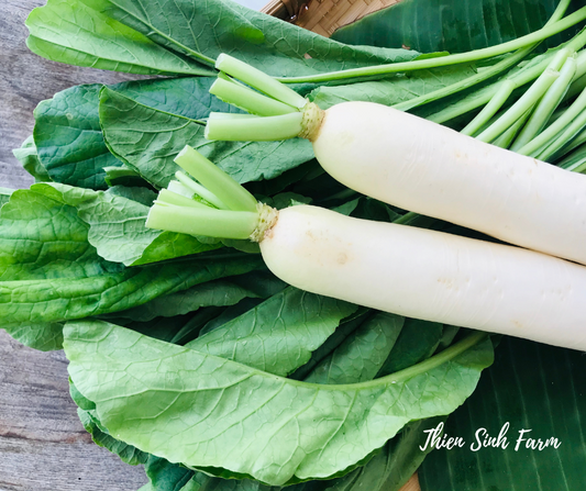 125 Thu-fam White radish+ leaves/Củ cải nhật trắng+ lá/大根 + 葉 350g