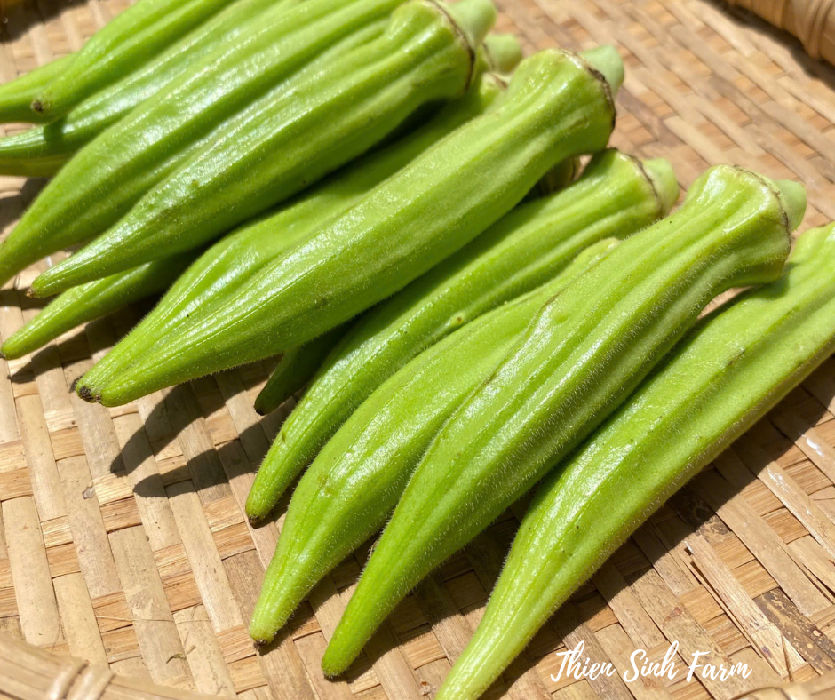 128 Wed-fam Okra/Đậu bắp/オクラ250g