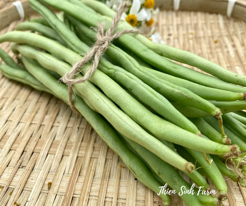 129 Tue-fam VN green bean/Đậu cove/インゲン(太)300g