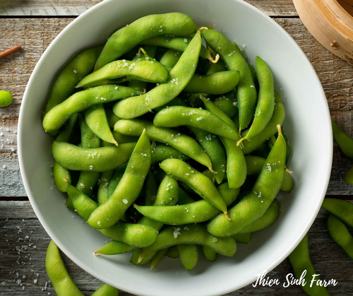 133 Tue-fam Edamame/Đậu tương/えだまめ100g