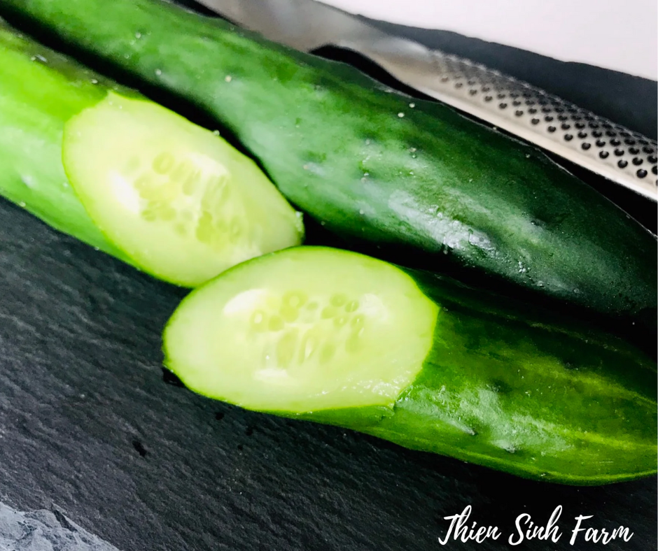 134 Fri-fam Cucumber JP/Dưa leo Nhật/きゅうり300g