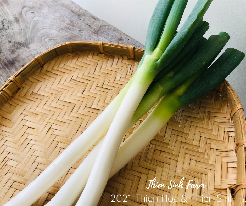 138 Mon-fam Leek/Hành paro/長ネギ250g