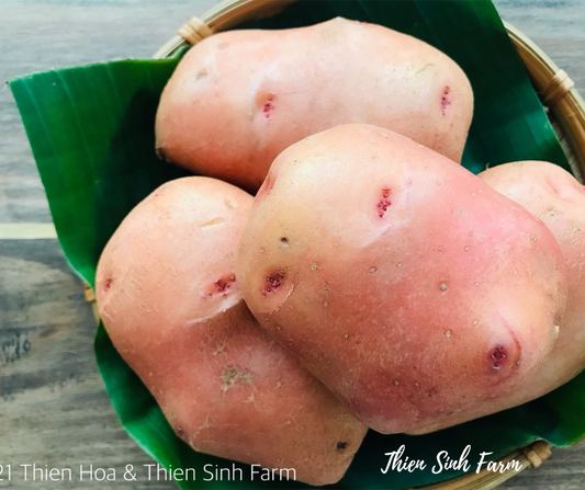 144 Fri-fam Potato /Khoai tây /ジャガイモ 500g