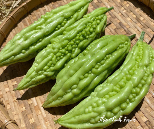 146 Fri-fam Bitter melon/Mướp đắng/ゴーヤ300g