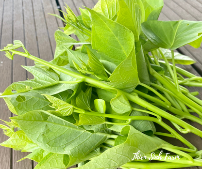 152 Fri-fam Sweet potato leaves/Rau lang/サツマイモ葉300g