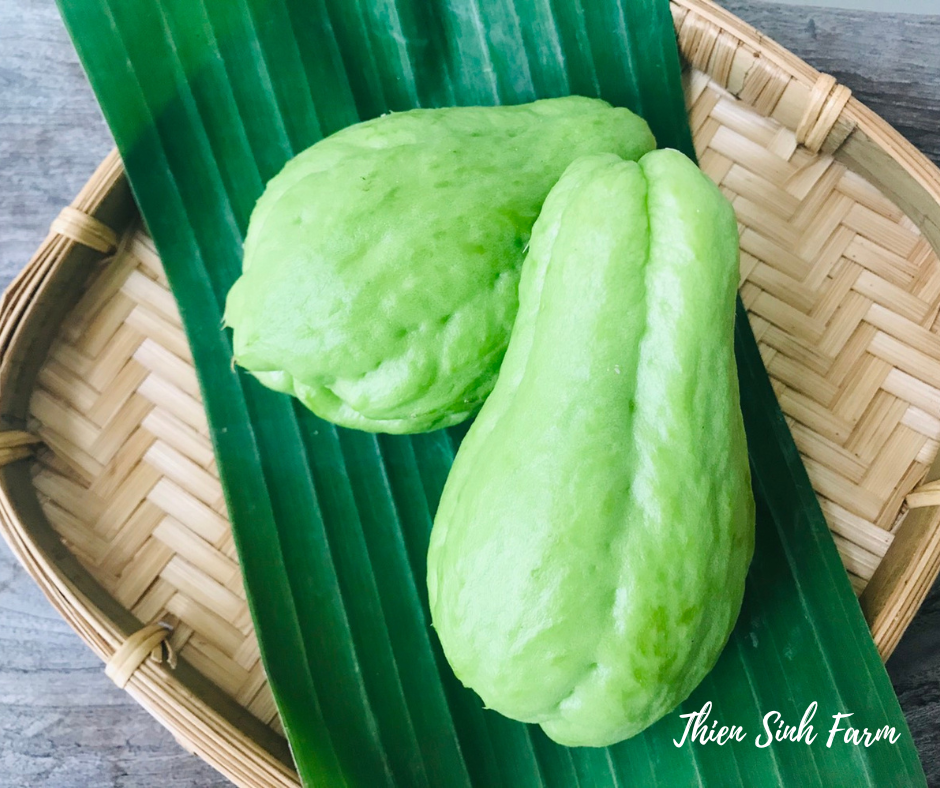 164 Thu-fam Chayote/Su Su/ハヤトウリ350g