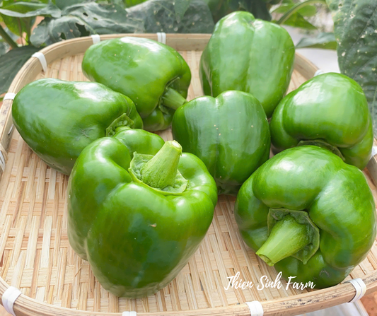 170 Fri-fam Paprika/Ớt chuông /パプリカ200g