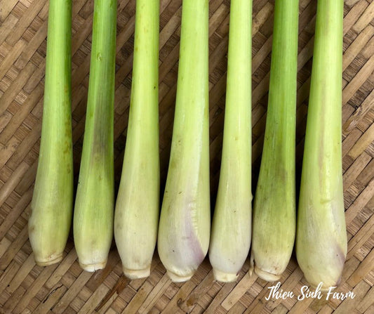 190 Thu-fam Lemongrass/Sả cây/レモングラス100g