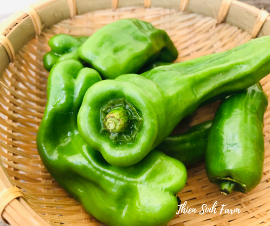 195 Thu-fam JP green pepper/Ớt chuông nhật/ピーマン90g