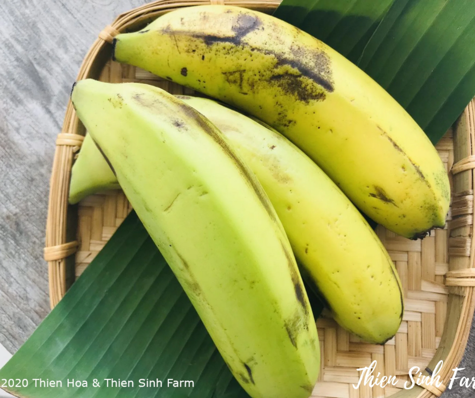 296 Tue-fam Laba Banana /Chuối Laba /Laba バナナ 1000g