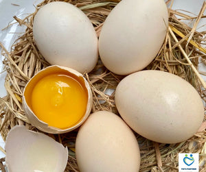 574 Fri-sgn Ticket Chicken Eggs/Vé đặt trứng gà thả vườn/庭先養鶏卵 予約券 (Mr. Giang, Ben Tre) 5eggs 50.000VND
