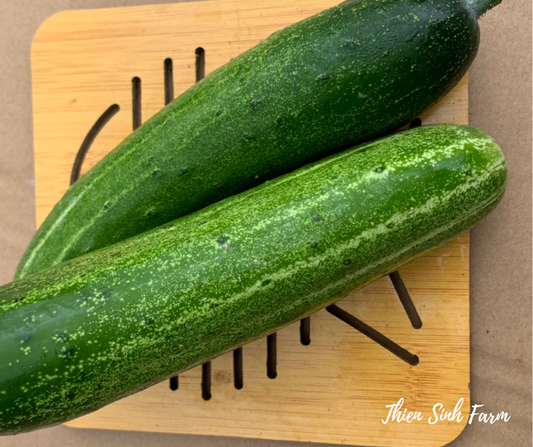 445 Fri-fam Cucumber VN/Dưa leo VN/きゅうり (ベトナム種類)400g