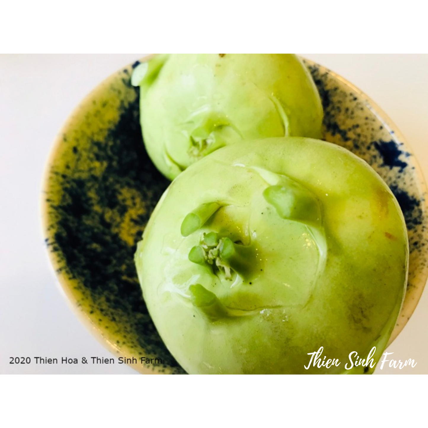 156 Wed-fam Kohlrabi/Su hào/コールラビ455g