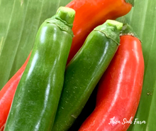 Load image into Gallery viewer, 739 Mon-fam Sweet Chili (Mix green and red)/Ớt sừng ngọt mix/甘長ピーマン100g