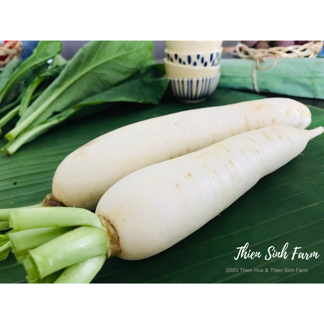 123 Wed-fam White radish/Củ cải nhật trắng/大根500g