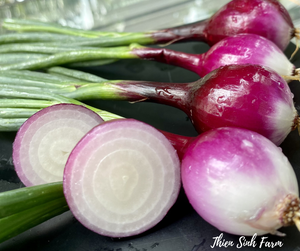 591 Mon-fam Purple Onion/Hành tây tím/新紫玉ねぎ200g