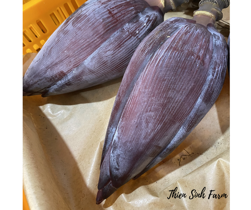 609 Thu-fam Banana Flower/Hoa chuối/バナナの花700g