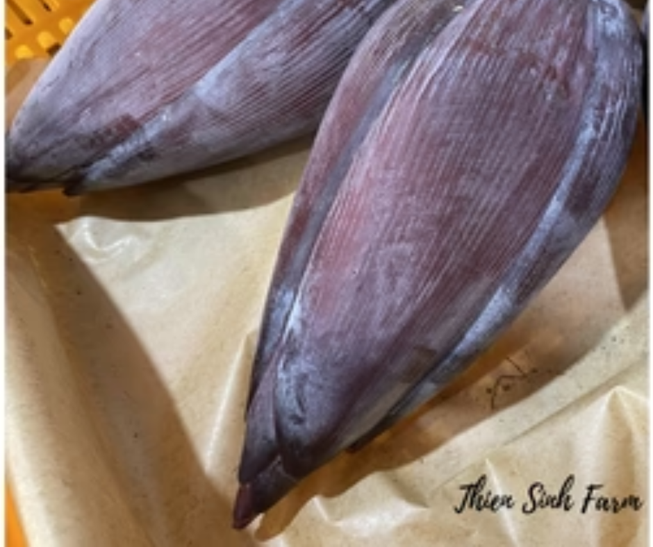 609 Fri-fam Banana Flower/Hoa chuối/バナナの花700g