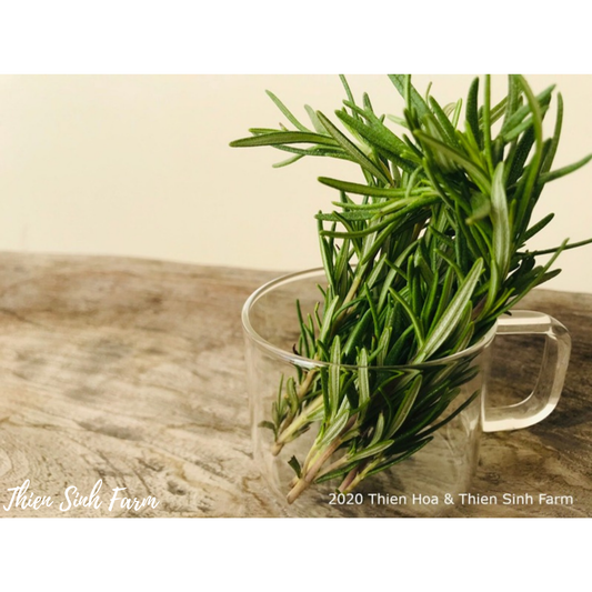 174 Wed-fam Rosemary/Hương thảo/ローズマリ40g