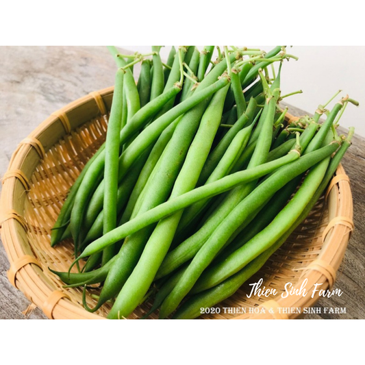 130 Wed-fam JP green bean/Đậu leo nhật/インゲン(細)200g