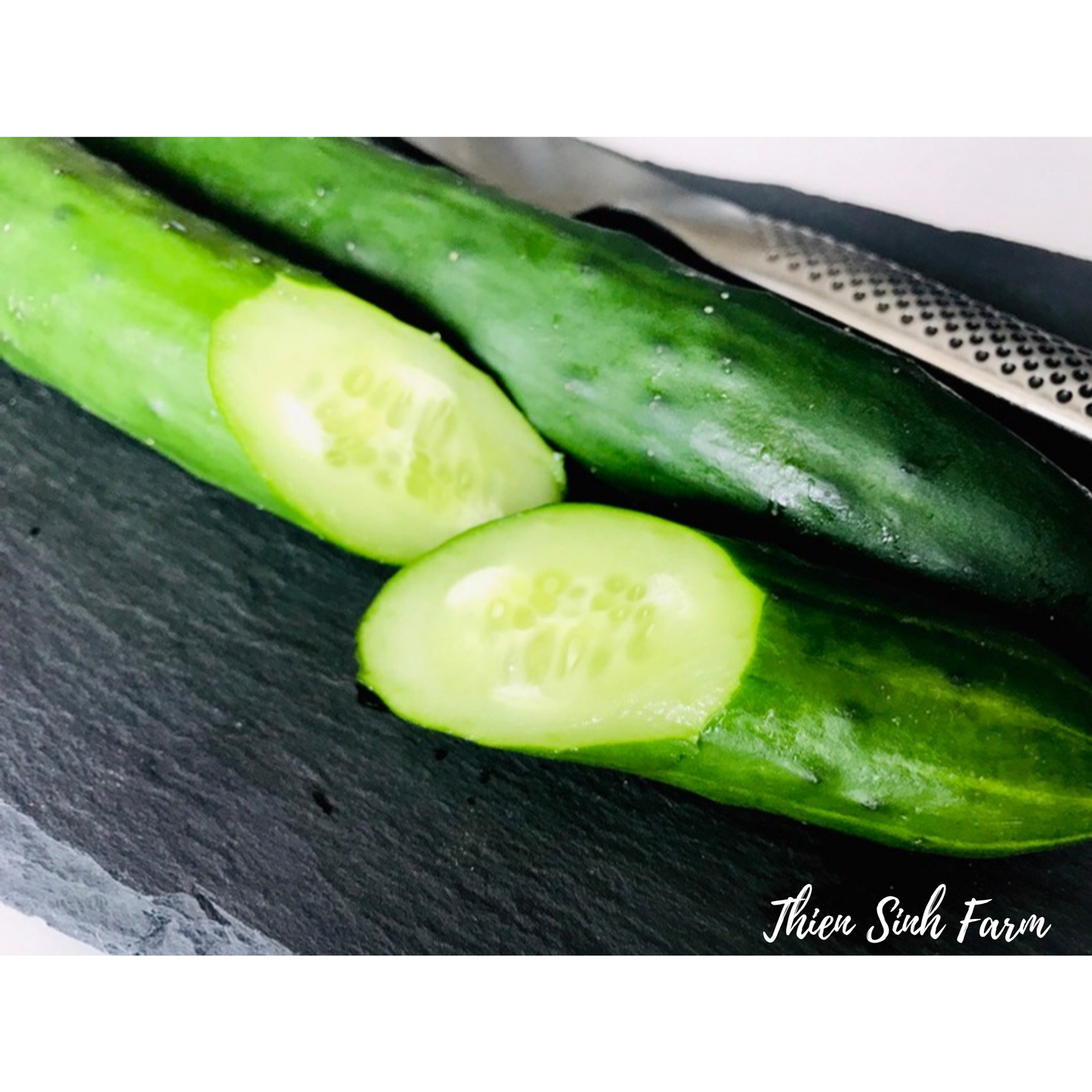 134 Wed-fam Cucumber JP/Dưa leo Nhật/きゅうり300g