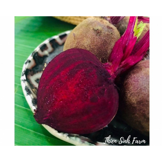 127 Wed-fam Beetroot/Củ dền/赤ビート400g