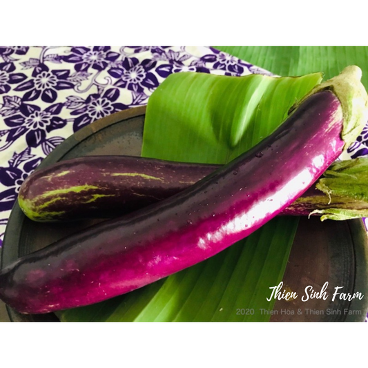 193 Mon-fam Vietnamese eggplant/Cà tím Việt Nam/ナス300g