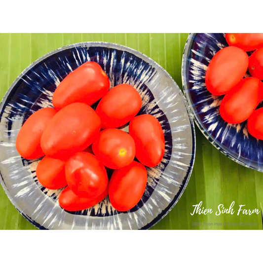 104 Wed-fam Cherry tomato/Cà chua bi/ミニトマト300g