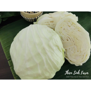 101 Wed-fam Cabbage/Bắp cải/キャベツ600g