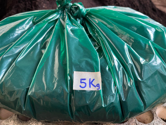 874 All-fam Seedling soil/Đất ươm cây/育苗用土 5Kg