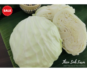 201 Wed-fam Cabbage/Bắp cải/キャベツ (gift for orders from 400k and group orders) 1500g - 2000g