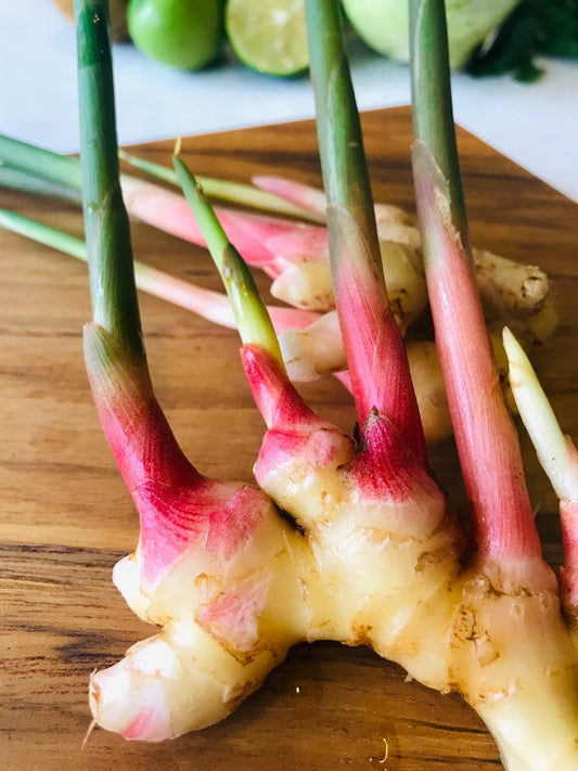 136 Mon-fam Fresh ginger/Gừng non nguyên bụi/新生姜150g