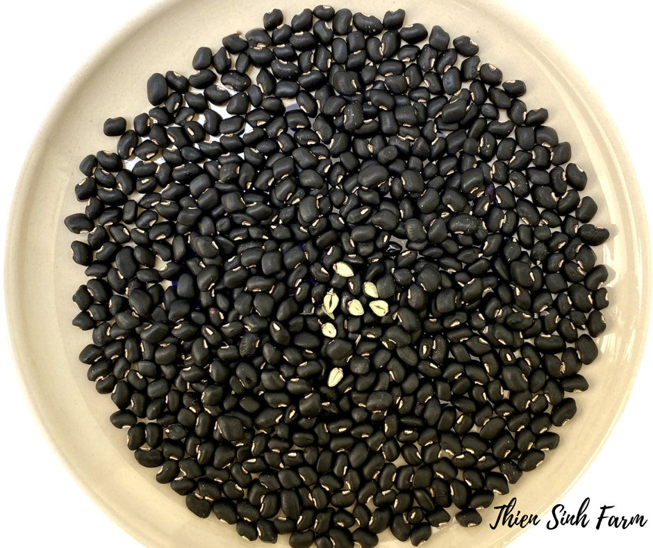 431 Tue-fam Black bean with green kernel/Đậu đen xanh lòng/黒豆110g