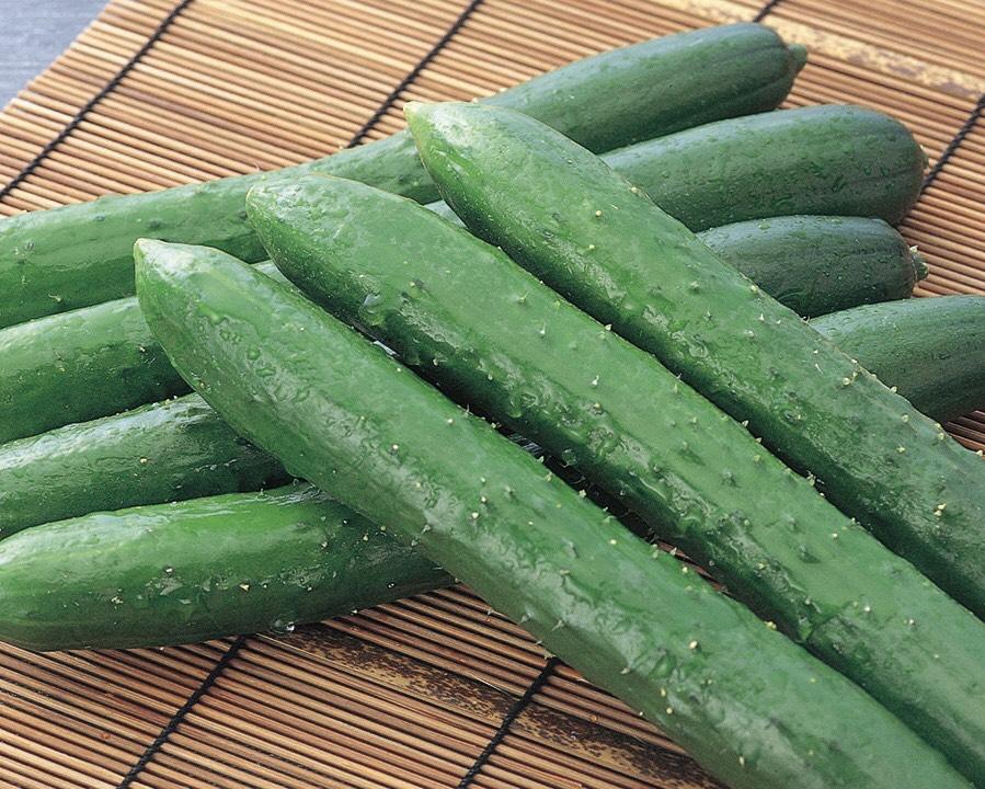 334 C-N Japanese Cucumber - Dưa leo Nhật - きゅうり 1kg